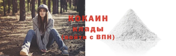 гашик Аркадак