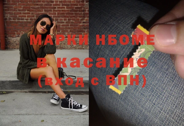 гашик Аркадак