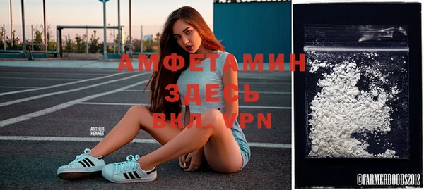 гашик Аркадак