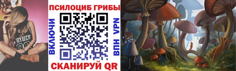 мега как войти  Белинский  Псилоцибиновые грибы Psilocybe  наркота 